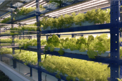 手艺立异加快、财产链完美协合作加剧以及政策