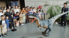 <b>产物供给最实正在的‘试金石’和‘练兵场’</b>