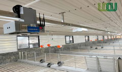 慧猪场养殖密度将低于0.85㎡/头